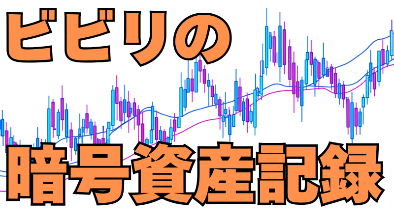 【1年で倍？！】ビビリな私の暗号資産記録 